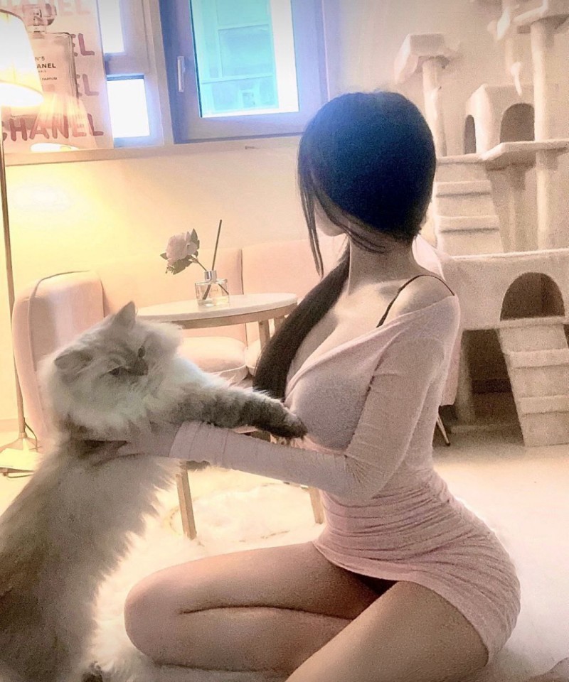 樱花在线观看免费高清视频大全追剧,手机高清在线观看